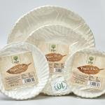 Paper Plates